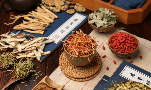 什么样的蚯蚓效果好网- 什么样的蚯蚓效果好一点知识,分享人体结构几何体速写